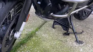 Bmw R 1250 GS Adventure (2019 - 20)  (6)