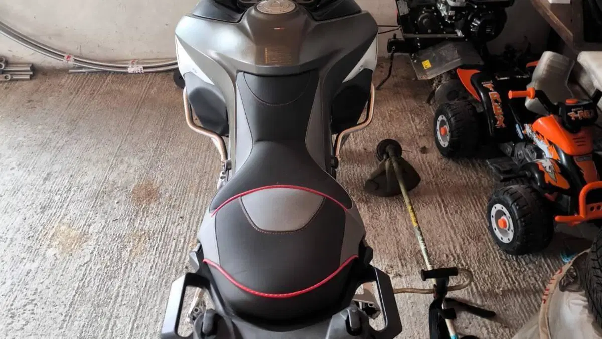 Ducati Multistrada 1200 Enduro (2016 - 18)  (8)