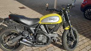 Ducati Scrambler 800 Flat Track Pro (2016 - 17) 