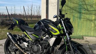 Kawasaki Z 400 (2019 - 20) usata