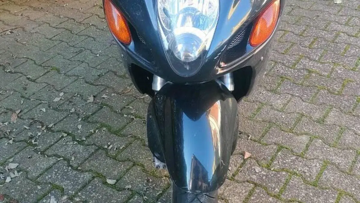 Suzuki GSX 1300 R Hayabusa (1999 - 06)  (9)