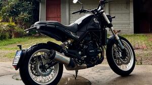 Benelli Leoncino 500 Trail (2021 - 26) 