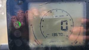 Benelli Leoncino 250 (2021 - 25) 