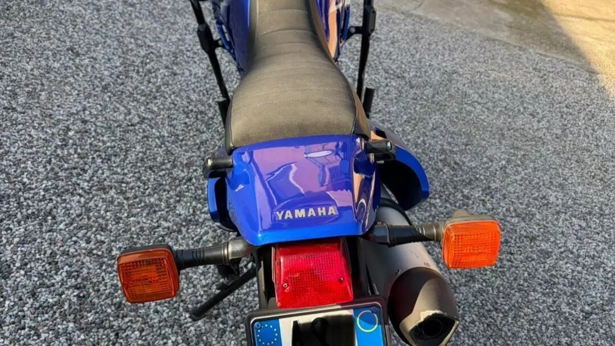 Yamaha   (8)
