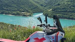 Ducati DesertX (2022 - 25) 