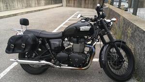 Triumph Bonneville T100 (2008 - 16) 