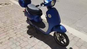  Altre moto o tipologie Elettrico  (3)