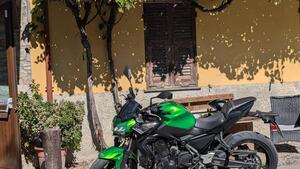 Kawasaki Z 650 (2020) 