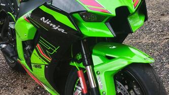Kawasaki Ninja 1000 ZX-10R Performance (2021 - 24) usata