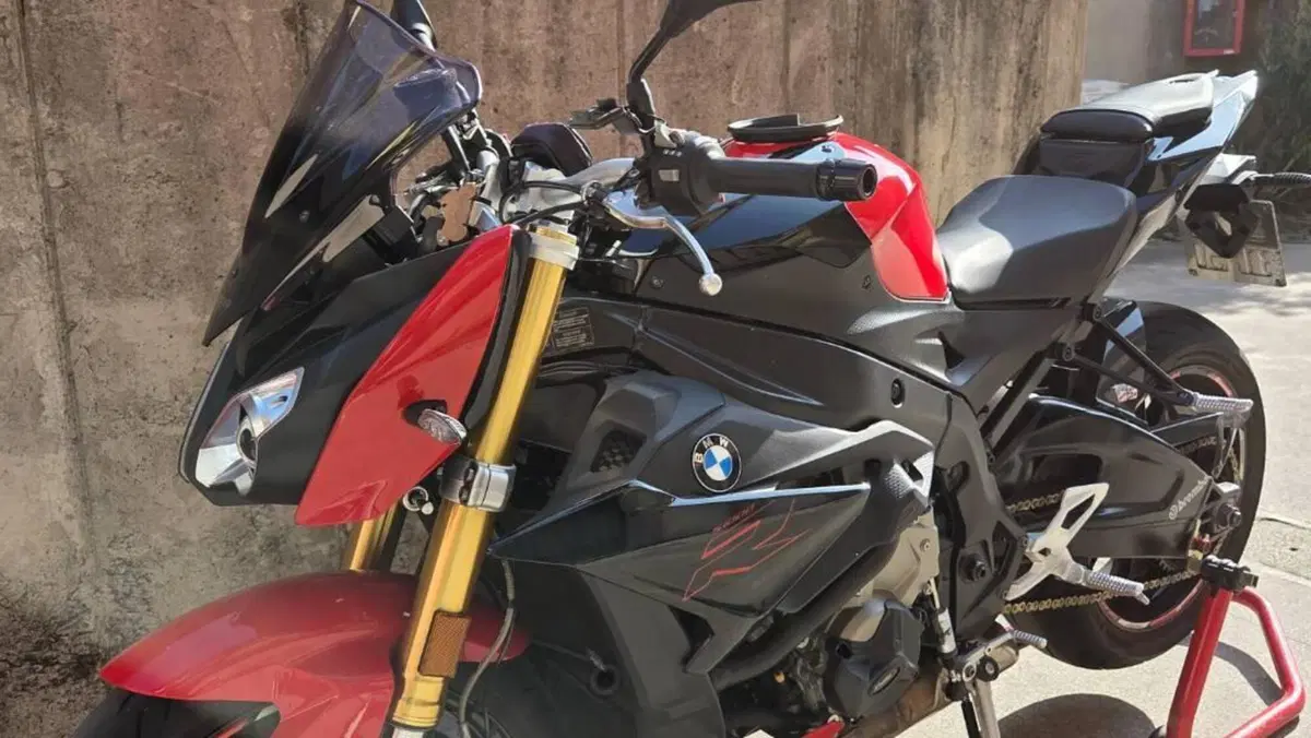 Bmw S 1000 R (2017 - 20)  (10)
