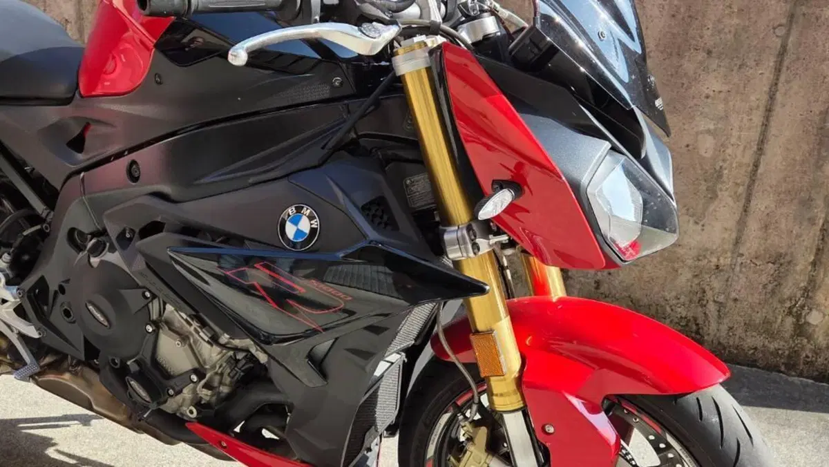 Bmw S 1000 R (2017 - 20)  (11)