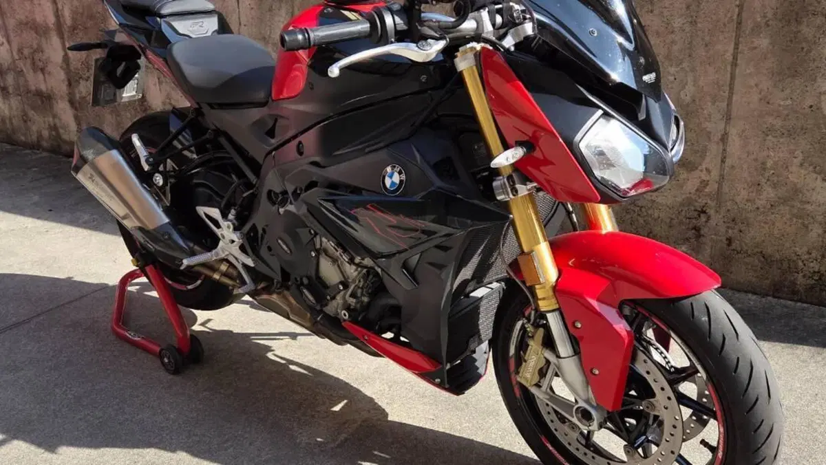 Bmw S 1000 R (2017 - 20)  (12)