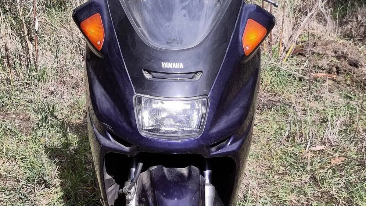 Yamaha Majesty 250 DX (1998 - 02)  (2)