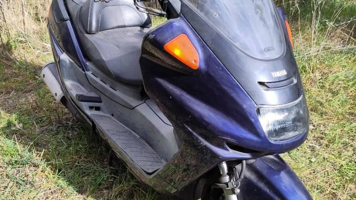 Yamaha Majesty 250 DX (1998 - 02)  (3)