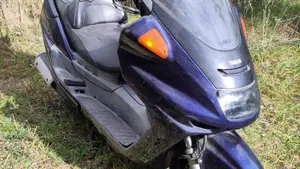 Yamaha Majesty 250 DX (1998 - 02)  (3)