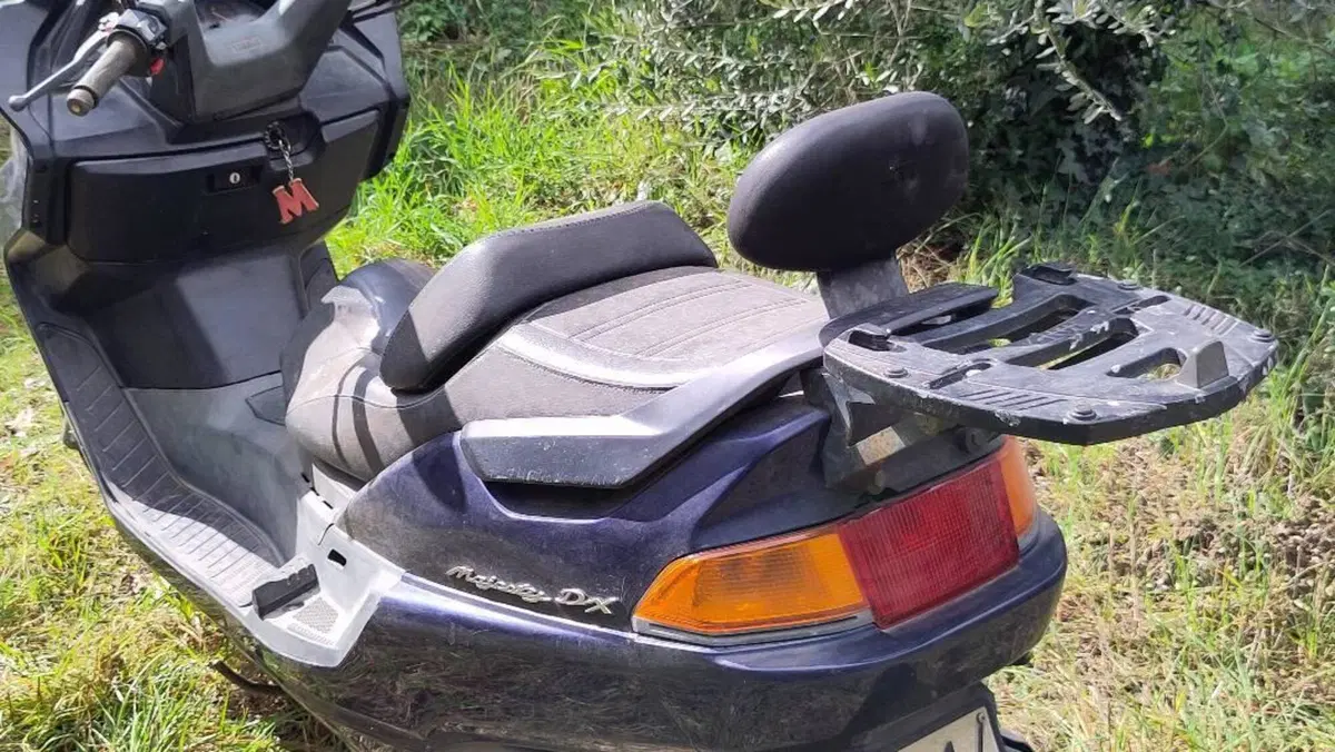 Yamaha Majesty 250 DX (1998 - 02)  (6)