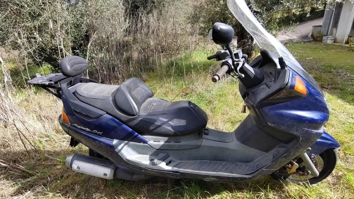 Yamaha Majesty 250 DX (1998 - 02)  (7)