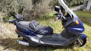 Yamaha Majesty 250 DX (1998 - 02)  (7)