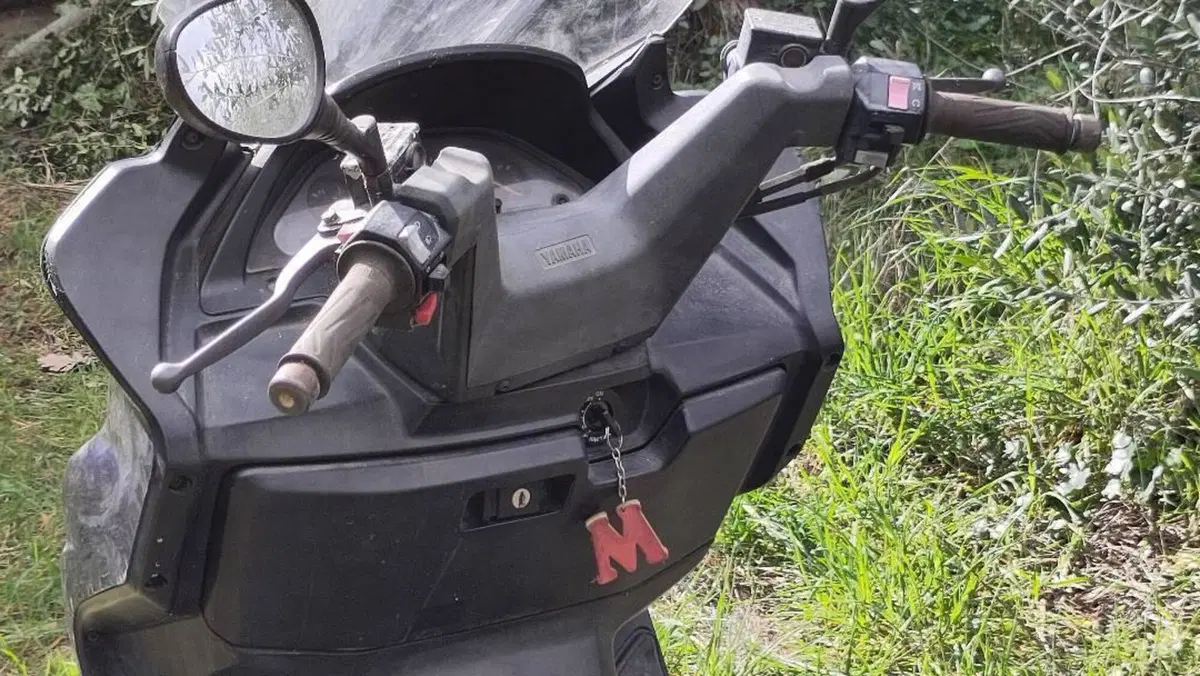 Yamaha Majesty 250 DX (1998 - 02)  (8)