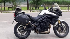 Triumph Tiger 800 ABS (2010 - 14) 