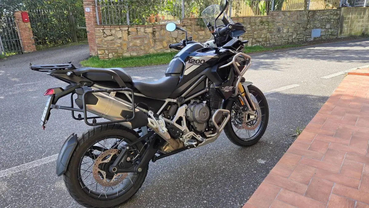 Triumph Tiger 1200 Rally Pro (2022 - 23)  (4)