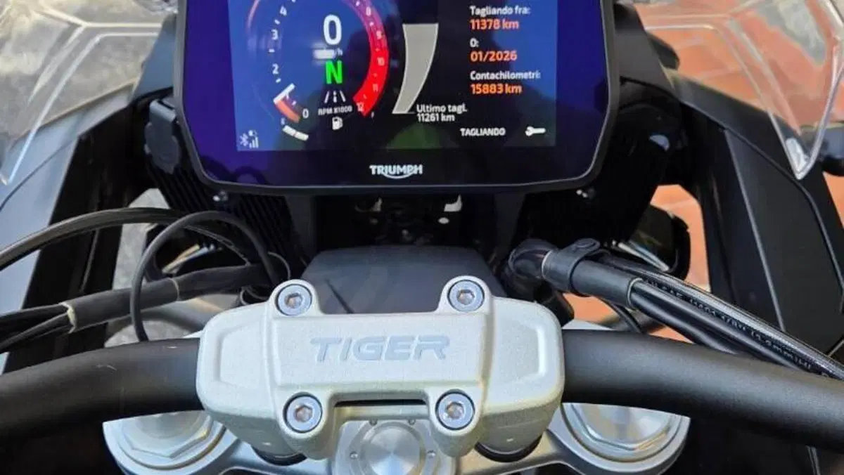 Triumph Tiger 1200 Rally Pro (2022 - 23)  (5)