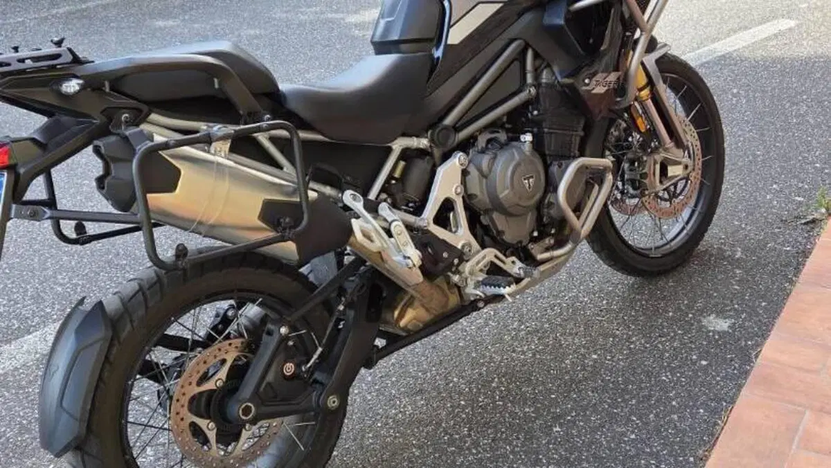 Triumph Tiger 1200 Rally Pro (2022 - 23)  (6)