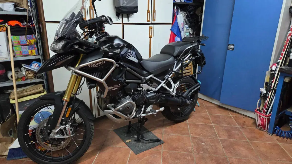 Triumph Tiger 1200 Rally Pro (2022 - 23)  (7)