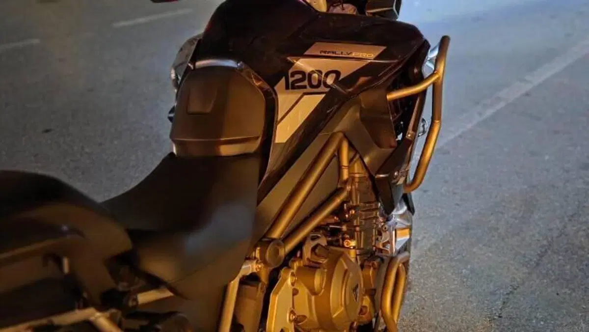 Triumph Tiger 1200 Rally Pro (2022 - 23)  (9)