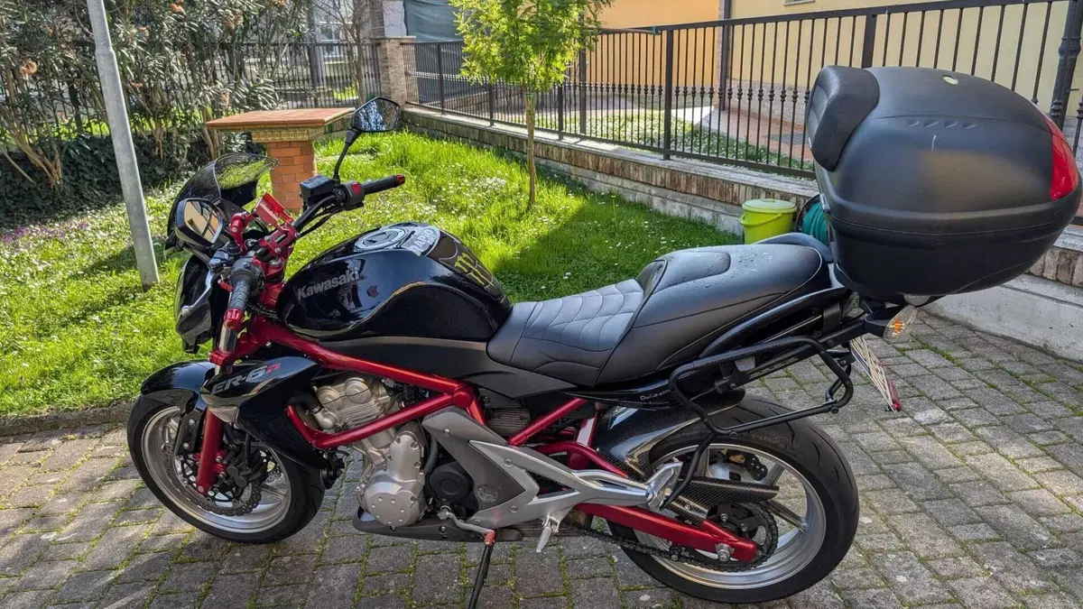 Kawasaki ER-6N (2005 - 08) 