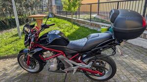 Kawasaki ER-6N (2005 - 08) 