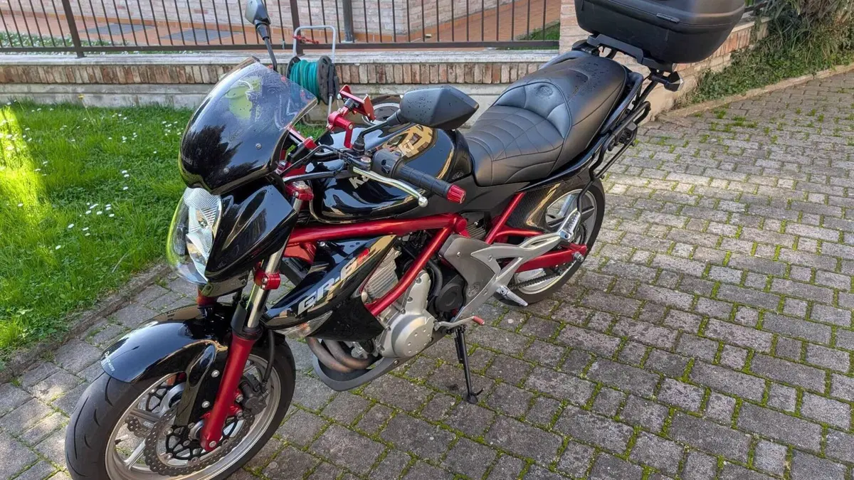 Kawasaki ER-6N (2005 - 08)  (2)