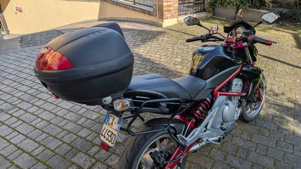 Kawasaki ER-6N (2005 - 08)  (3)