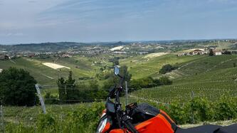 KTM 790 Duke (2018 - 20) usata