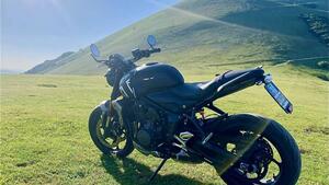 Triumph Trident 660 (2021 - 24) 