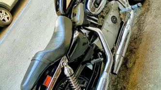 Harley-Davidson 1200 Roadster (2002 - 05) - XL 1200R usata