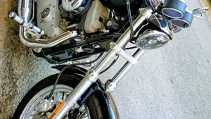 Harley-Davidson 1200 Roadster (2002 - 05) - XL 1200R  (2)