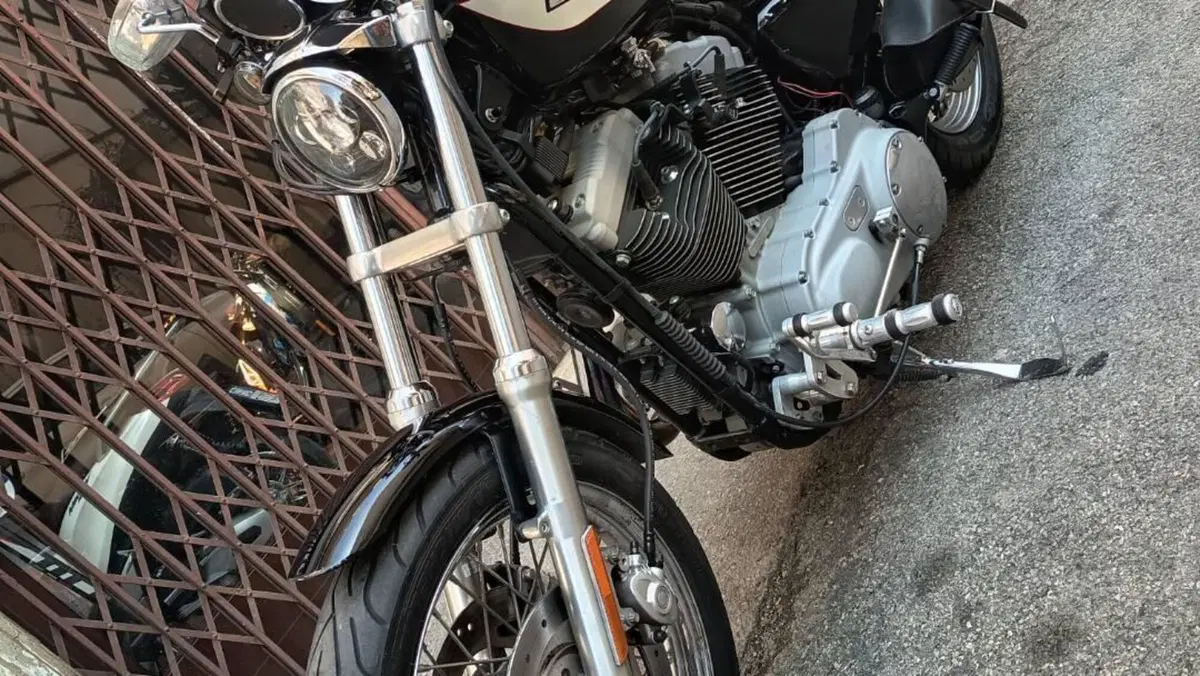 Harley-Davidson 1200 Roadster (2002 - 05) - XL 1200R  (3)