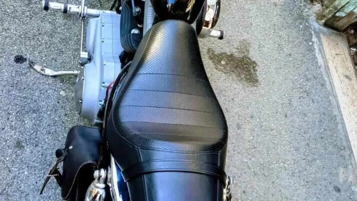 Harley-Davidson 1200 Roadster (2002 - 05) - XL 1200R  (4)