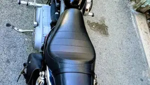 Harley-Davidson 1200 Roadster (2002 - 05) - XL 1200R  (4)