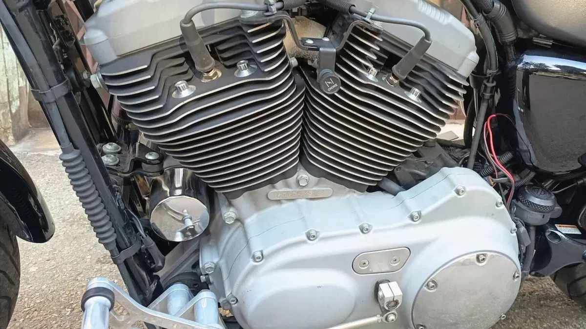 Harley-Davidson 1200 Roadster (2002 - 05) - XL 1200R  (5)