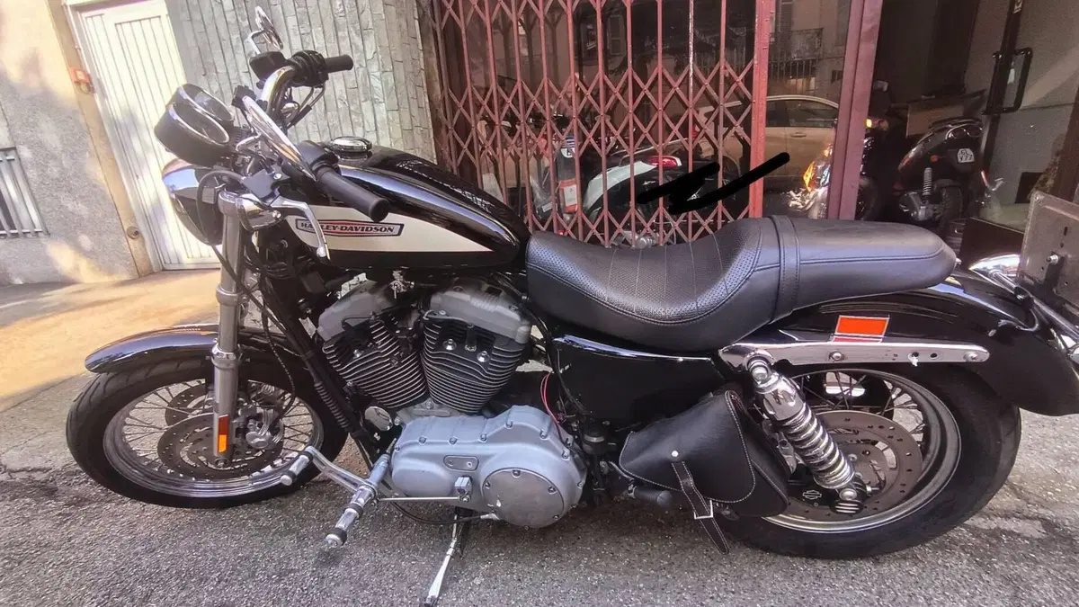 Harley-Davidson 1200 Roadster (2002 - 05) - XL 1200R  (7)
