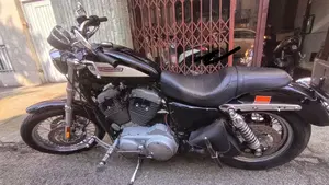 Harley-Davidson 1200 Roadster (2002 - 05) - XL 1200R  (7)