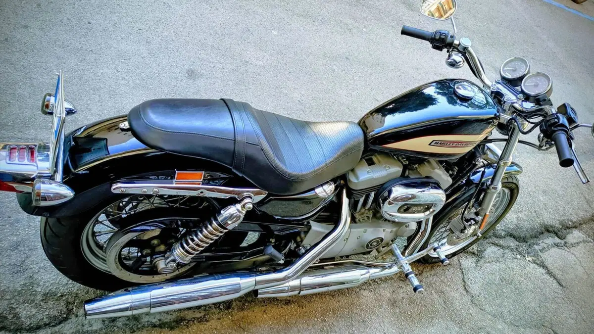 Harley-Davidson 1200 Roadster (2002 - 05) - XL 1200R  (9)