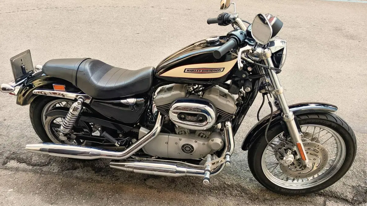 Harley-Davidson 1200 Roadster (2002 - 05) - XL 1200R  (10)