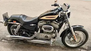 Harley-Davidson 1200 Roadster (2002 - 05) - XL 1200R  (10)