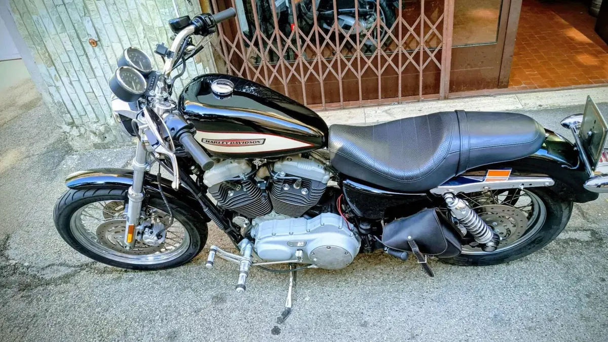 Harley-Davidson 1200 Roadster (2002 - 05) - XL 1200R  (11)