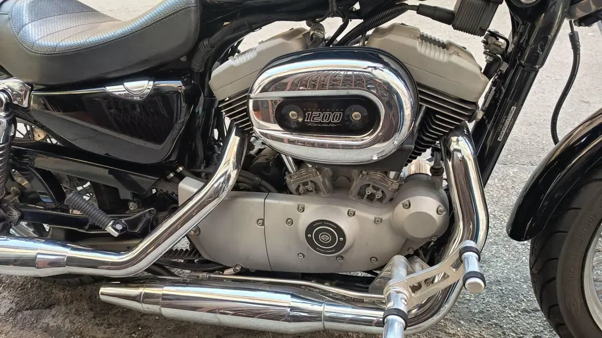 Harley-Davidson 1200 Roadster (2002 - 05) - XL 1200R  (12)