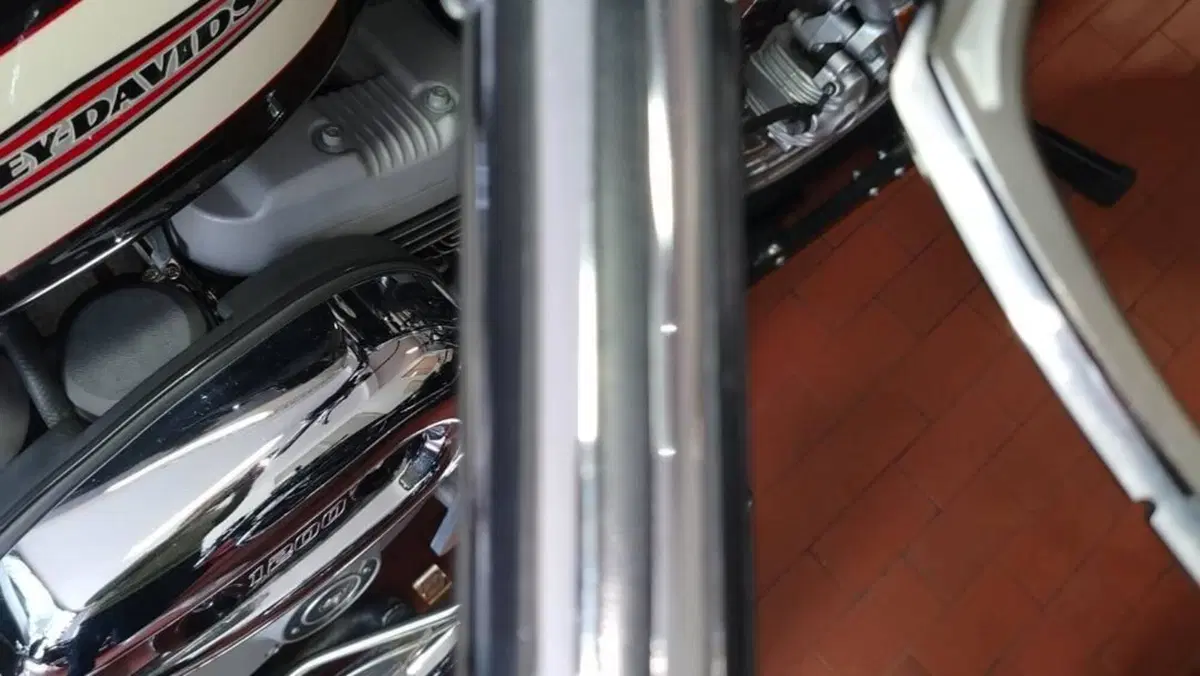 Harley-Davidson 1200 Roadster (2002 - 05) - XL 1200R  (18)