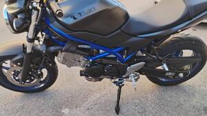 Suzuki SV650 (2021 - 24) 